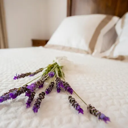 Bed and Breakfast Bolet Casa Modernista Castellvi de la Marca Esterno foto