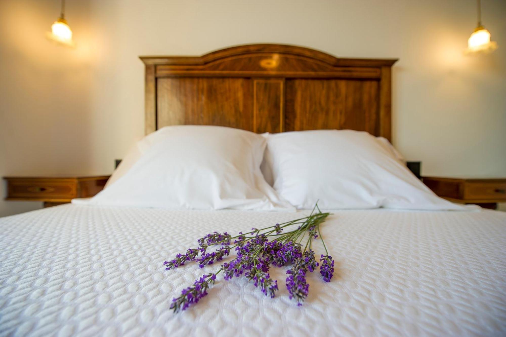 Bolet Casa Modernista Bed & Breakfast Castellvi de la Marca